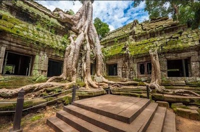 Ta Prohm Temple
