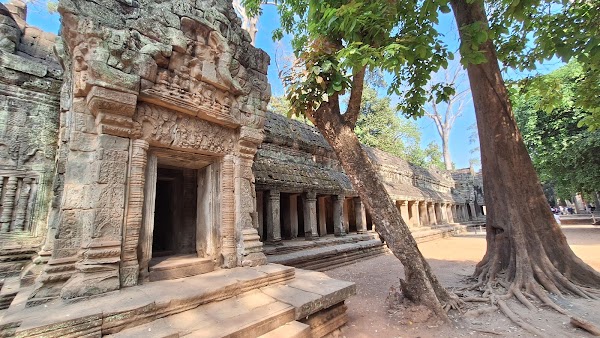 Ta Prohm Temple 5