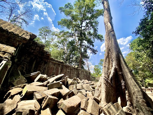 Ta Prohm Temple 3