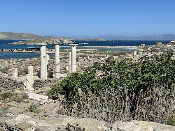 Delos 3