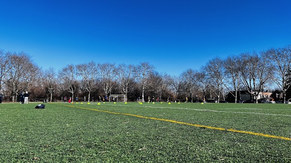 Kosmos Soccer Field