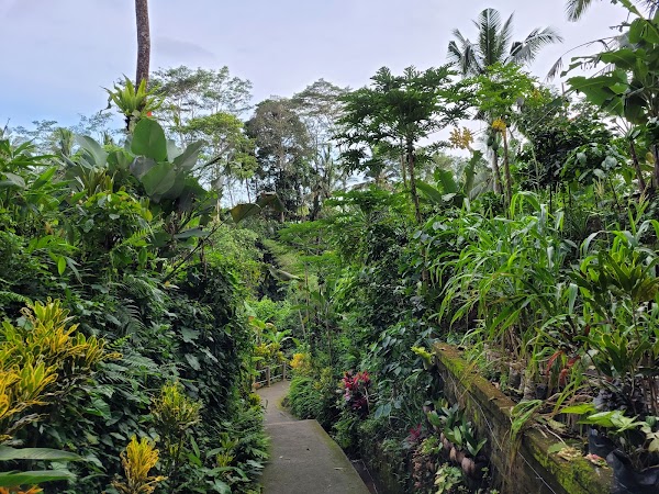 Tibumana Waterfall 3