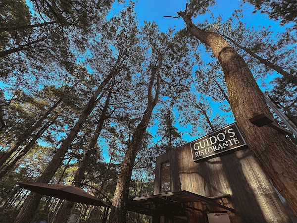 Nonno Guido's Ristorante 4