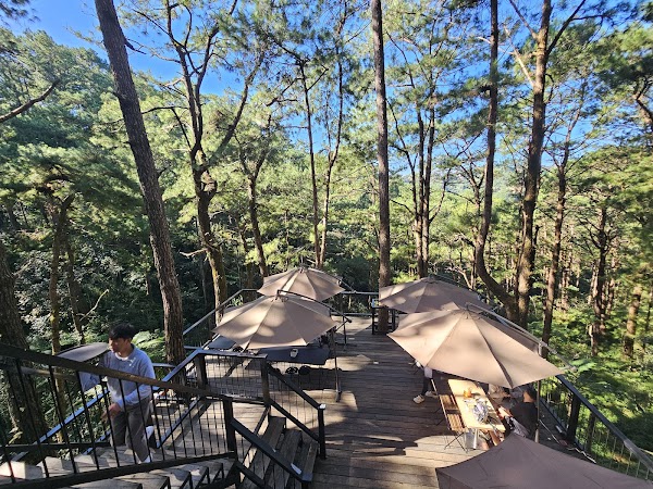 Nonno Guido's Ristorante 2