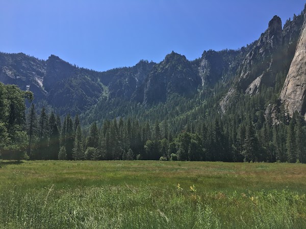 El Capitan Meadow 5