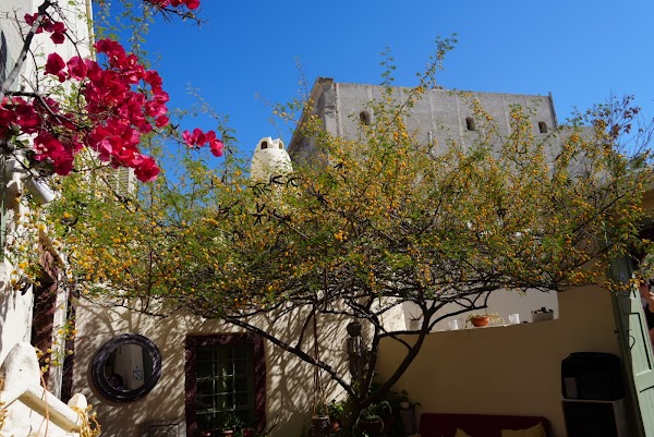 Karma Greek Restaurant 3