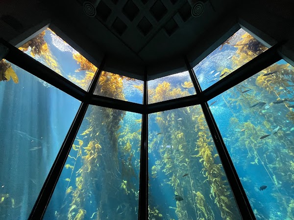 Monterey Bay Aquarium