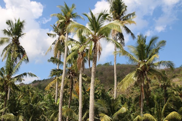 Crystal Bay Nusa Penida 4