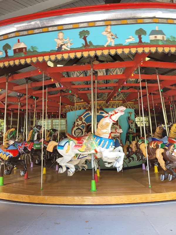 Central Park Carousel 5