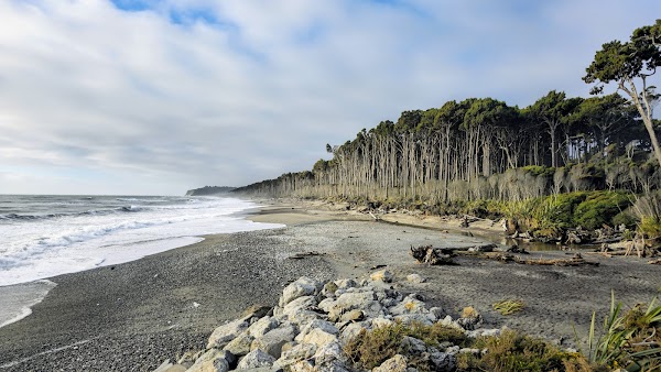 Maori Beach