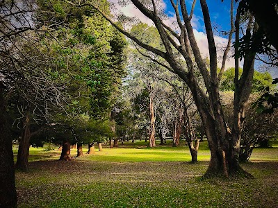 The Nairobi Arboretum 2