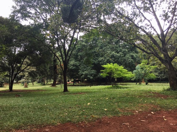The Nairobi Arboretum 6