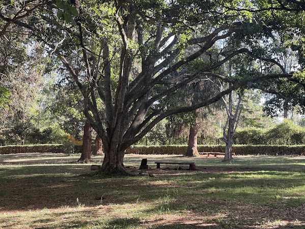 The Nairobi Arboretum 5