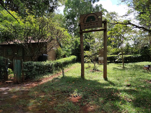 The Nairobi Arboretum 4