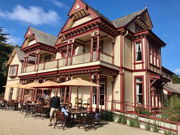 Riccarton House and Bush 6