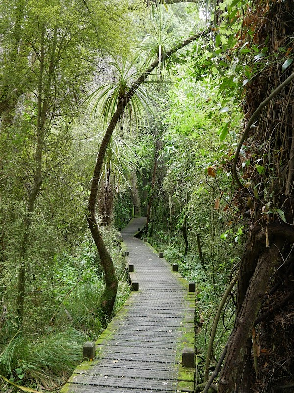 Riccarton House and Bush 3