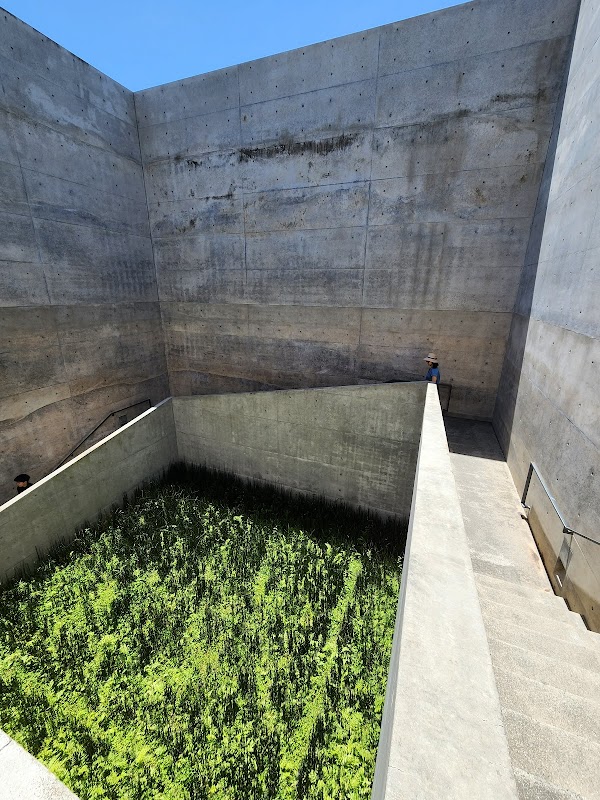 Chichu Art Museum