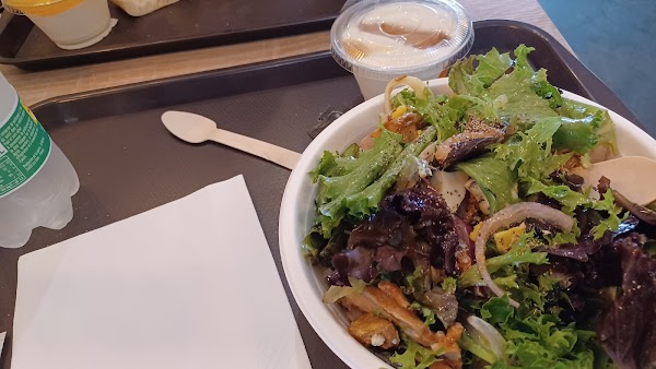 Cordial - Notre Dame 5