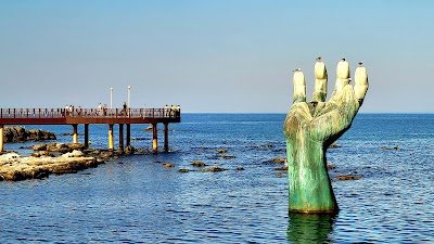 Homigot Sunrise Square 1