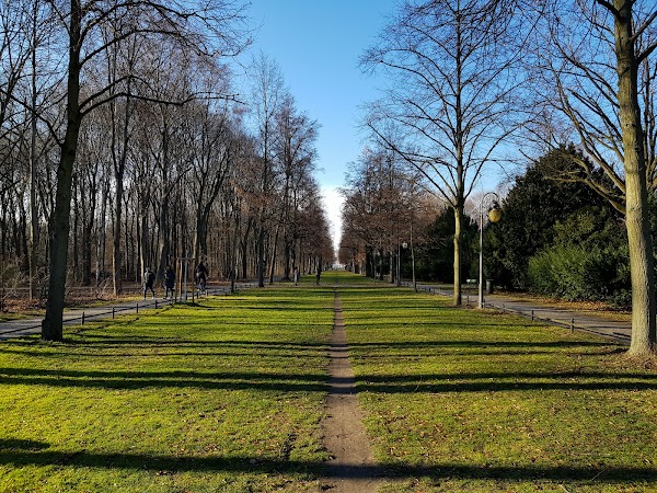 Tiergarten 5