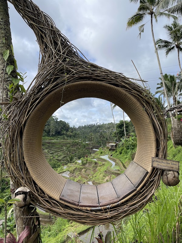 Ceking Rice Terrace 3