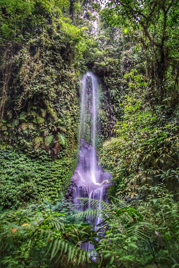 Nungnung Waterfall 5