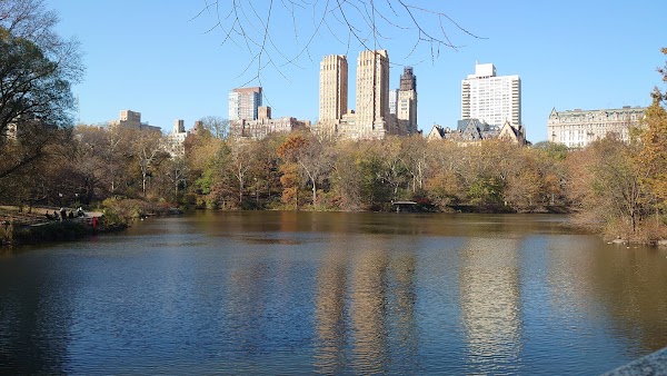 Central Park 4