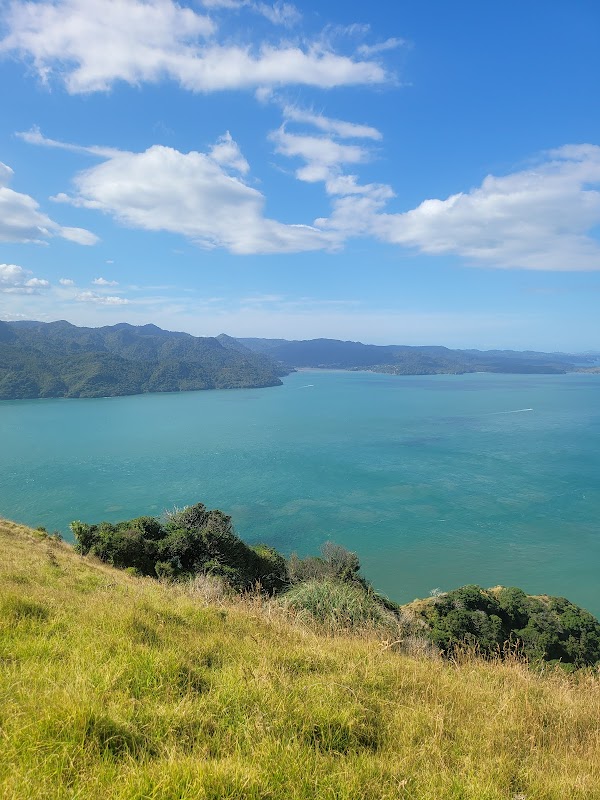 Manukau Harbour 2