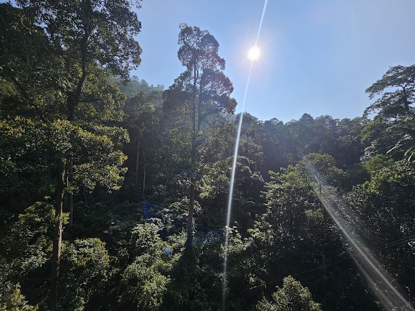 Forest Research Institute Malaysia (FRIM) 1