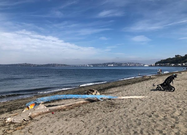 Alki Beach 1