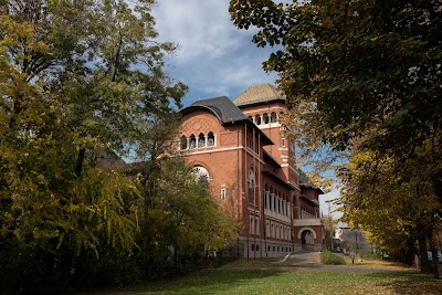 The National Museum of the Romanian Peasant