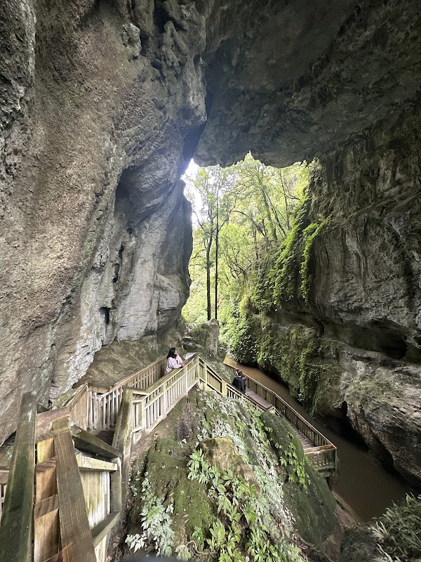 Mangapohue Natural Bridge 5