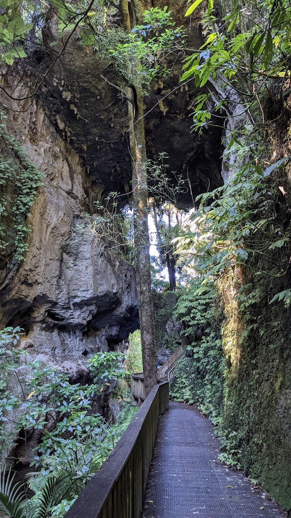 Mangapohue Natural Bridge 4