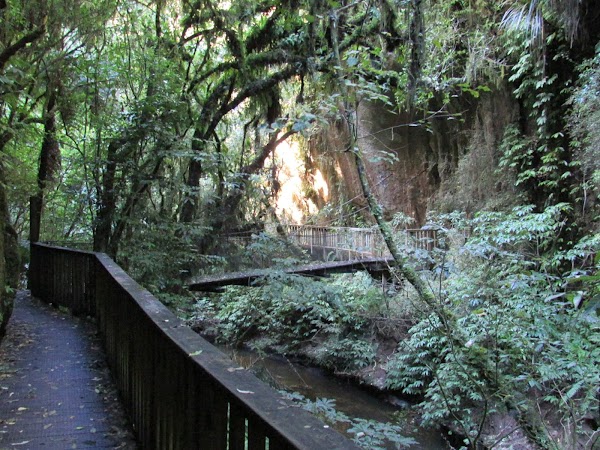 Mangapohue Natural Bridge 2