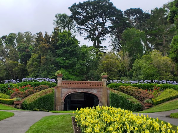 Conservatory of Flowers 3