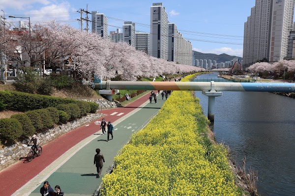 Oncheoncheon Citizens Park