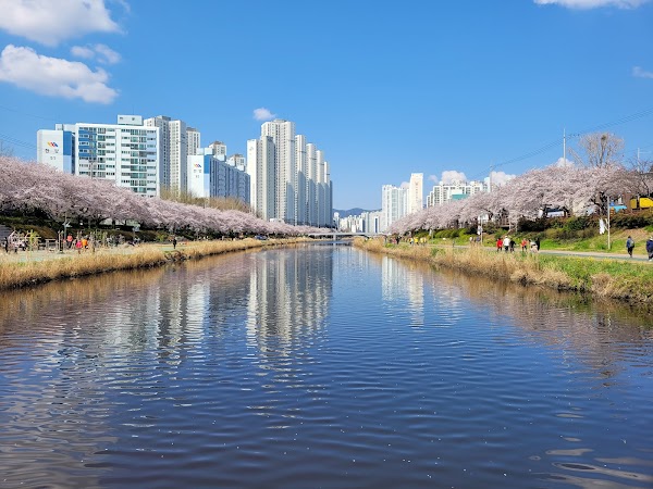 Oncheoncheon Citizens Park 1