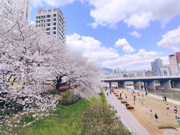 Oncheoncheon Citizens Park 6