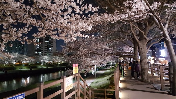 Oncheoncheon Citizens Park 5