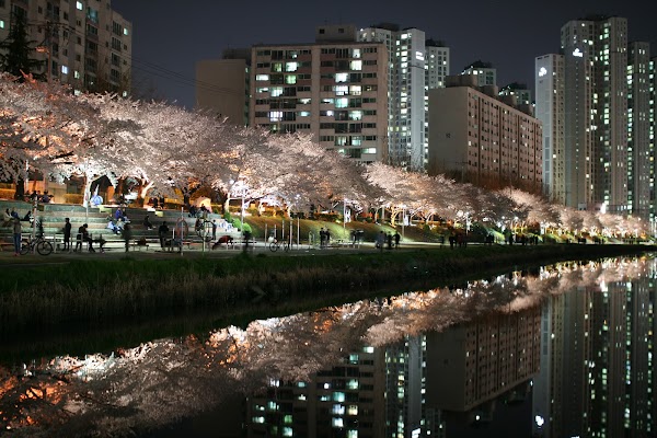 Oncheoncheon Citizens Park 4