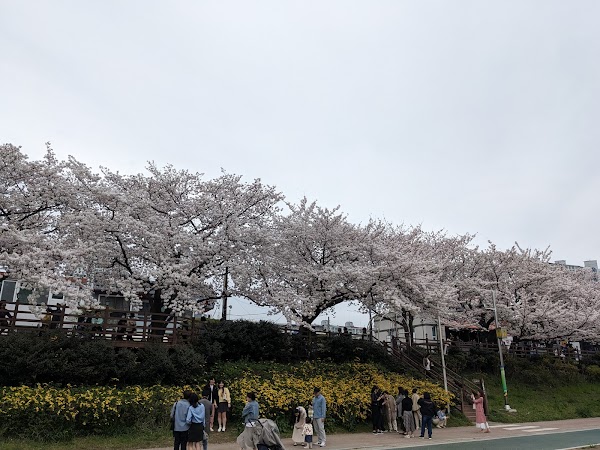 Oncheoncheon Citizens Park 3