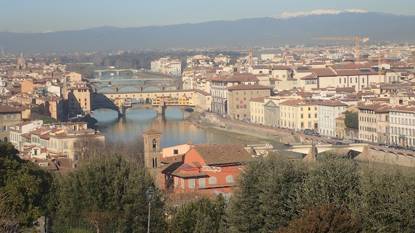 Arno 6