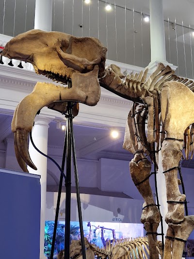 Bucharest's Architectural Splendors: A Journey Through History and Beauty #2 3