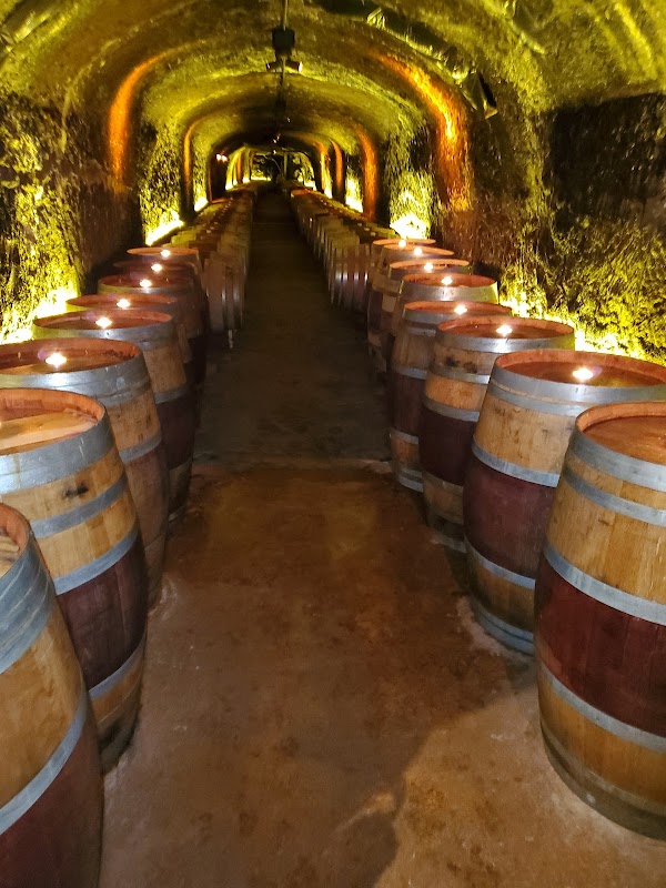Del Dotto Historic Winery & Caves 2