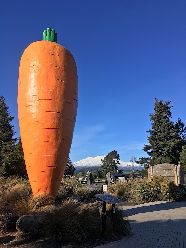 Ohakune Carrot