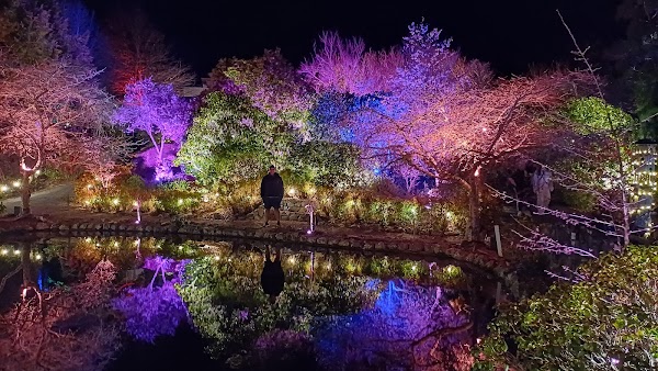 Blossom Valley at Aston Norwood 4