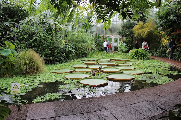 Royal Botanic Garden Edinburgh 5