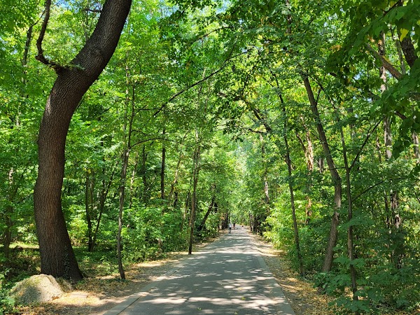 Borisova Gradina Park 4