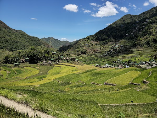 Rice Terraces of the Philippine Cordilleras