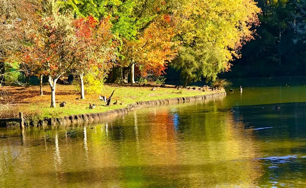 McLaren Falls Park 4